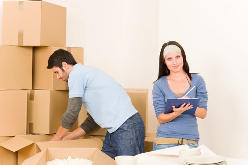 Moving checklist and labelled boxes for a Finsbury move